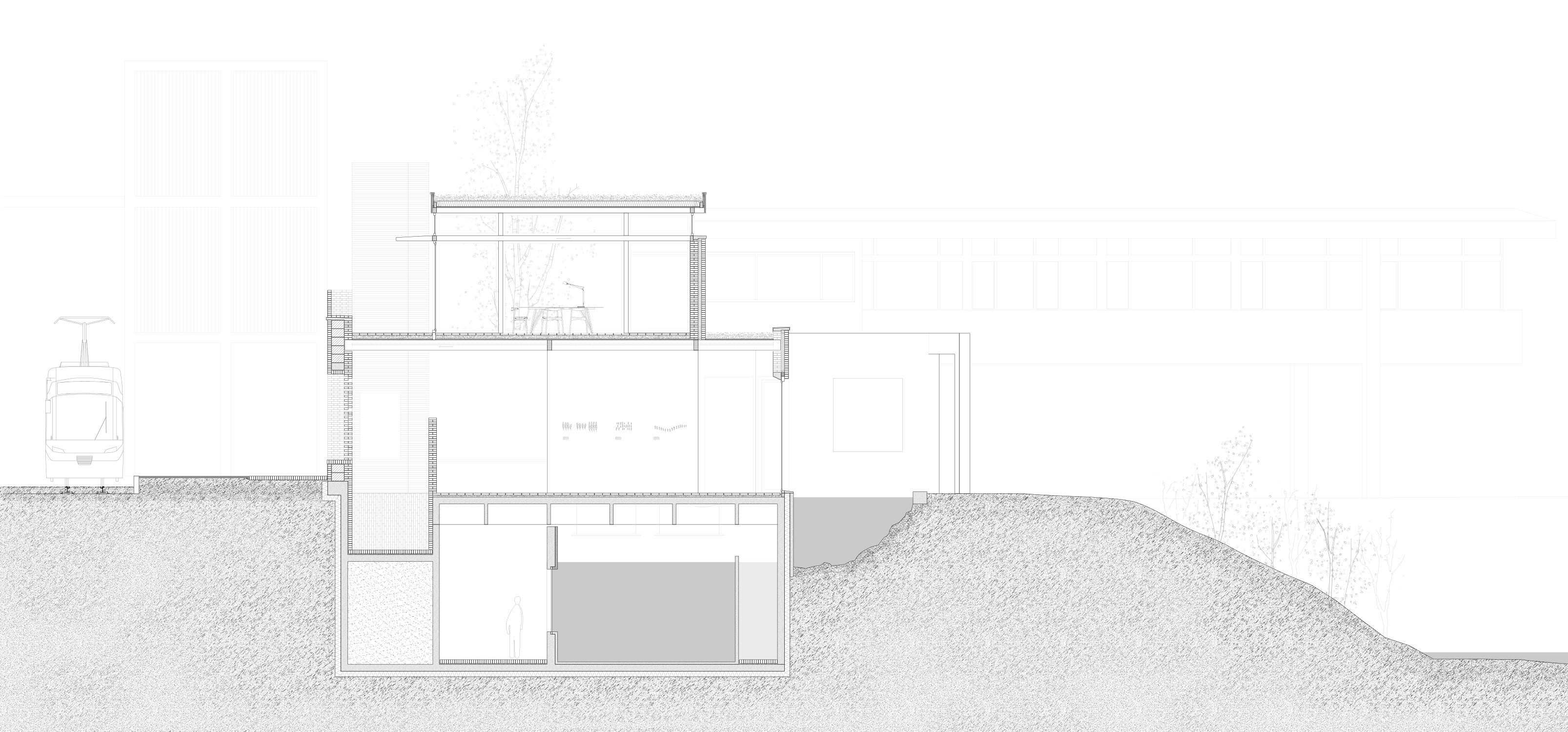 Extension Zoo Bâle, coupe transversale 1:50